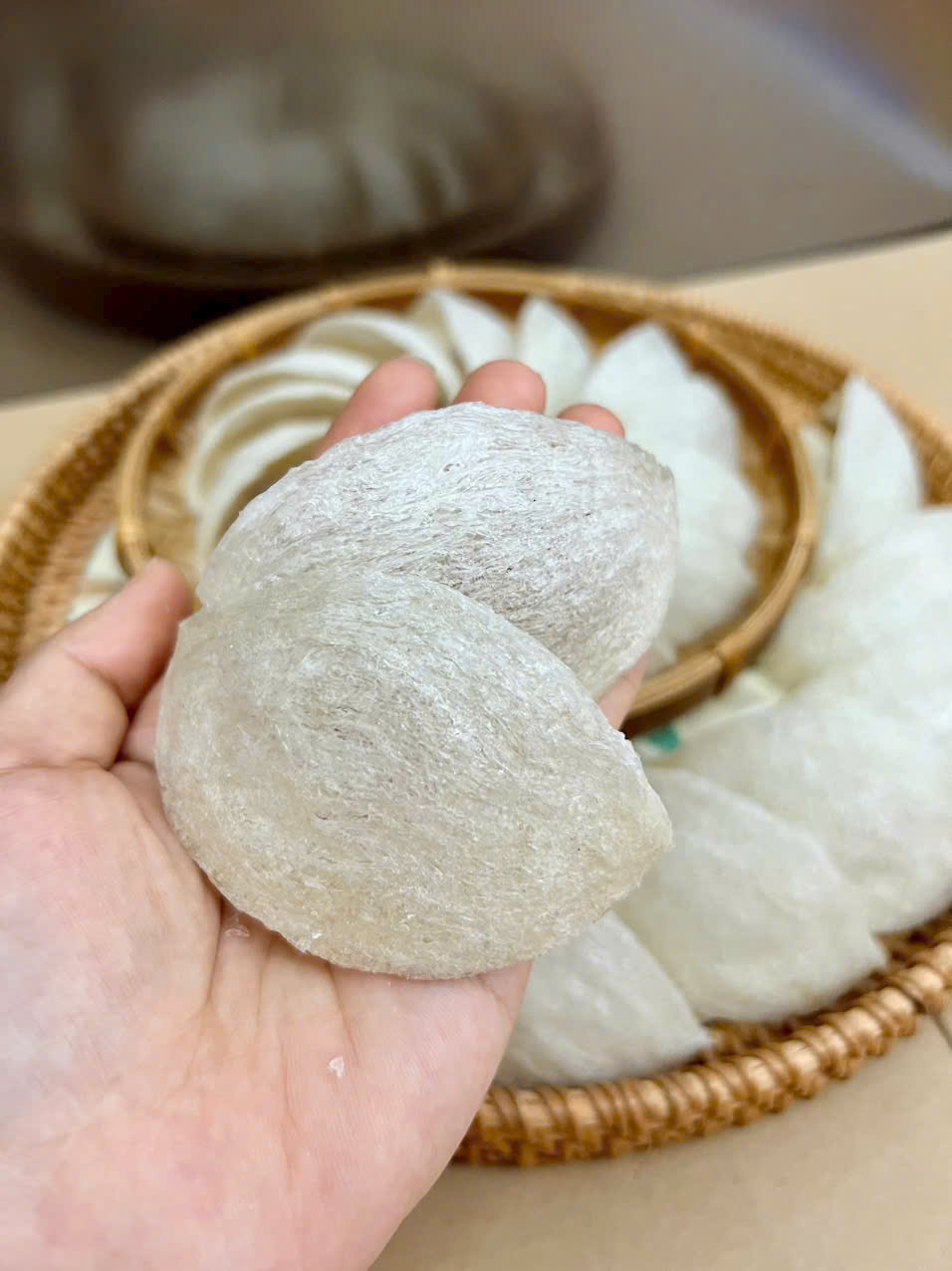 Yến rút lông khô định hình cao cấp A5